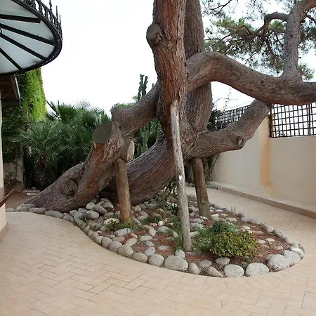 Baia Delle Sirene Hotel