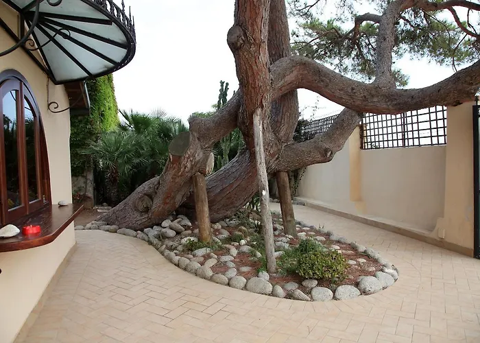 Baia Delle Sirene Hotel